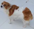 Lola