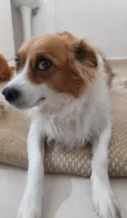 Lola