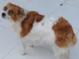 Lola