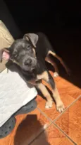 Zoe