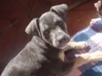 Zoe