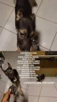 Não tem nome