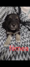 Ela não te nome 