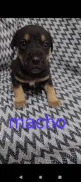 Eles não tem nomes 