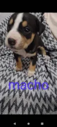 Não tem nome 