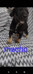 Não tem nome 