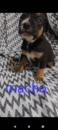 N tem nome 