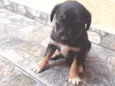 Lila