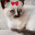 Nina 