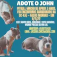 JOHN