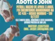 JOHN