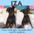 Iza