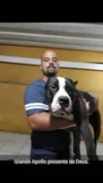 Apolo