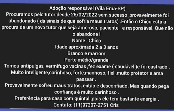 Cachorro ra a Srd  idade 3 anos nome Chico