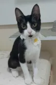BETHÂNIA