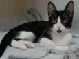 BETHÂNIA
