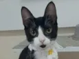 BETHÂNIA