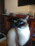 Clara