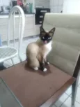 Clara
