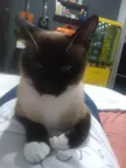 Clara