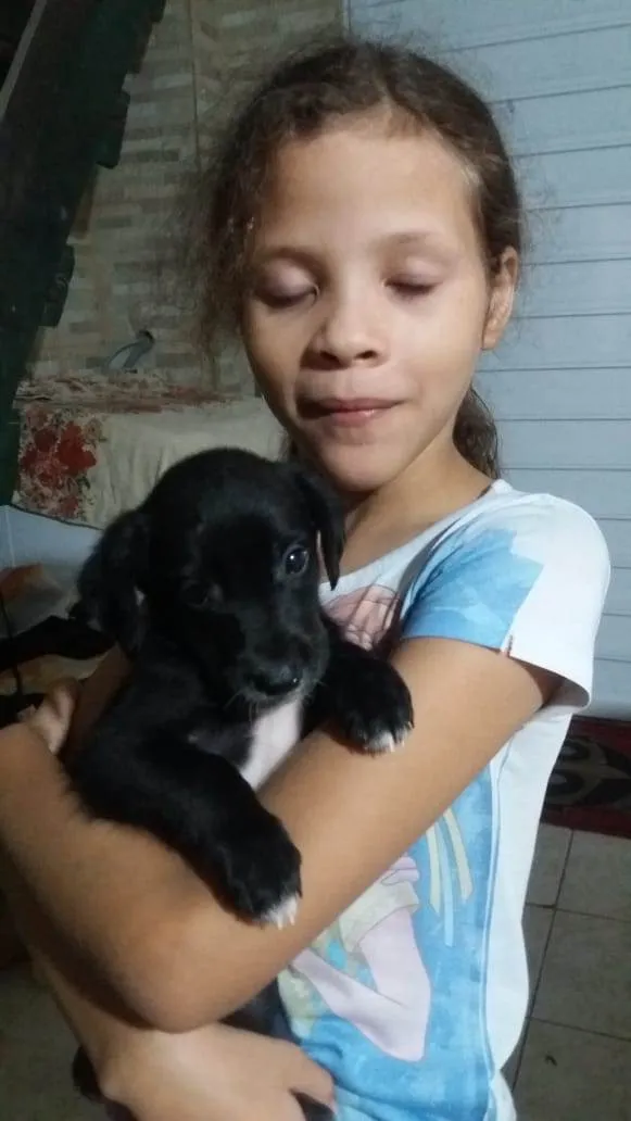 Cachorro raça  idade 2 a 6 meses nome Pretinha 
