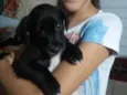 Pretinha 