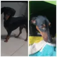 Loki