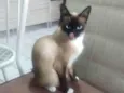 Clara
