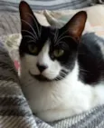 FILÓ