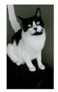 FILÓ