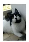 FILÓ