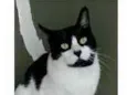 FILÓ