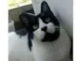 FILÓ