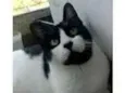 FILÓ