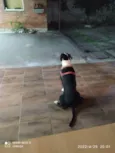 Bolt 