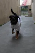 Nuno