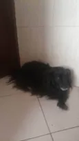 Bebe