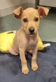 Loo