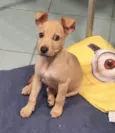 Loo