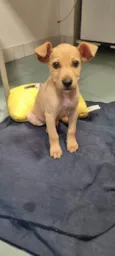 Loo
