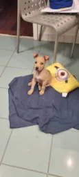 Loo