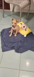 Loo
