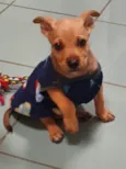 Loo