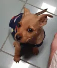 Loo