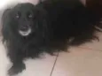 Bebe