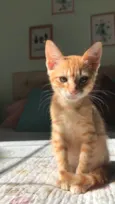 Mia