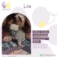 Lila