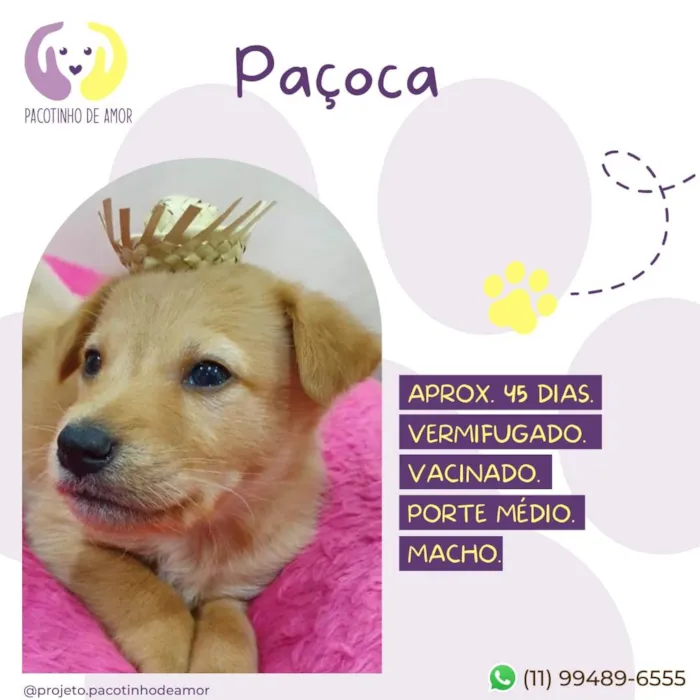 Paçoca 