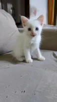 Jimmy