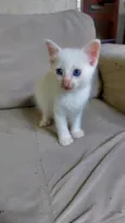 Jimmy